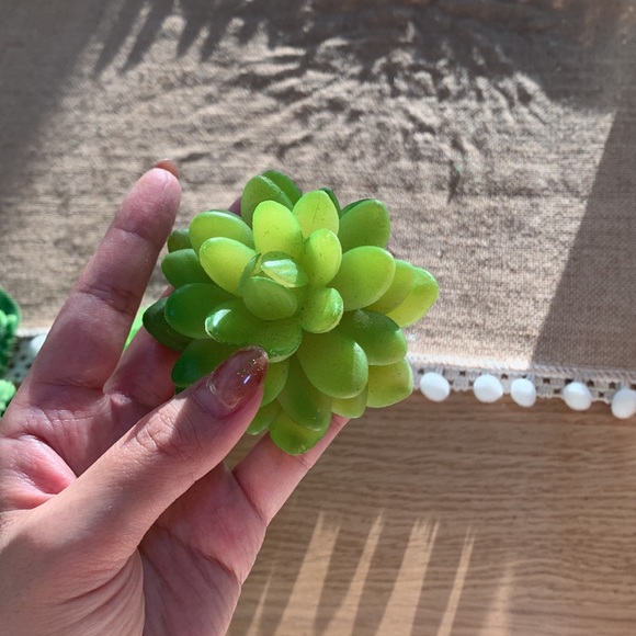 ☀️Hump Day Happiness SALE☀️ Styling fun ✨7 Pieces Plant Styling props - Picture 11 of 12